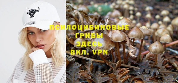 крисы Зеленокумск