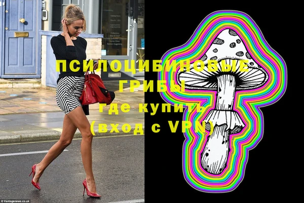 крисы Зеленокумск